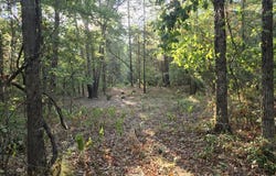 FM 852, Gilmer, TX 75644