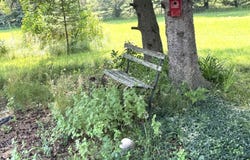 5251 MICHIGAN 55, HALE, MI 48739