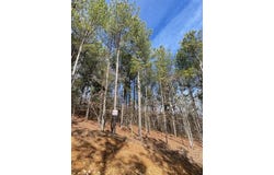 775 Timber Creek Trails S XI, Broken Bow, OK 74728