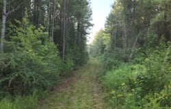 1178 Tolar Road, Oak Vale, MS 39656