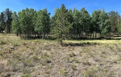 565 Hayhook Way, Hartsel, CO 80449