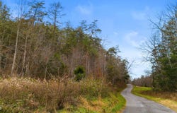 661 E Pumpkin Valley Rd, Eidson, TN 37731