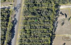 8086 TREIMAN BLVD, WEBSTER, FL 33597