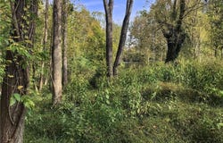 NC Highway 268, Elkin, NC 28621