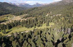 Pony Creek, Bozeman, MT 59715