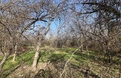 13700 Gholson Road, Gholson, TX 76705