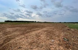 Wildflower, Healdton, OK 73463