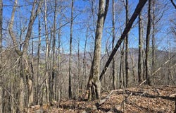 Brasstown Road, Cullowhee, NC 28723