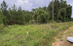 Highland Rd, Slocomb, AL 36375