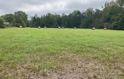 3497 Rutledge Loop Rd, LUVERNE, AL 36049