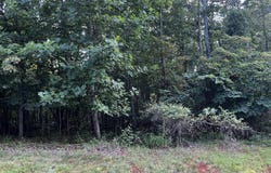 Bay View Rd lot: 332, Lynch Station, VA 24571