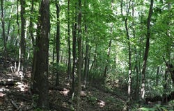 Lot 320 Ridge Run, Claysburg, PA 16625