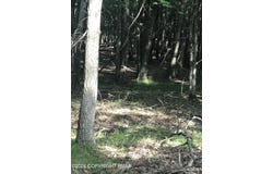 707 Walnut Lane, Albrightsville, PA 18210