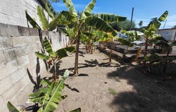 Juana Diaz, Juana Diaz, PR 00795