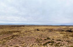 Highway 191, St. Johns, AZ 85936
