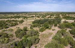 Bluff View Trail, Gustine, TX 76455