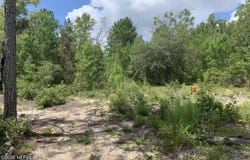 403 LILY Trail, Interlachen, FL 32148