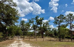 460th St, Cross City, FL 32628