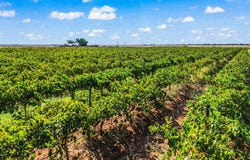 County Rd 218, Seminole, TX 79360