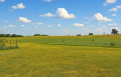 907 McKinley Ave, Lowden, IA 52255