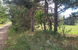 N 88th Avenue, Pentwater, MI 49449