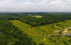 -- Calhoun Lane, Forest, MS 39074