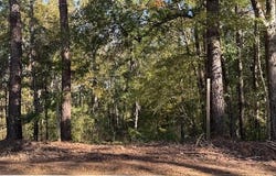 1213 Liberty, Natchez, MS 39120