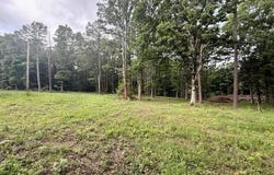 000 West Highway 32, Licking, MO 65542