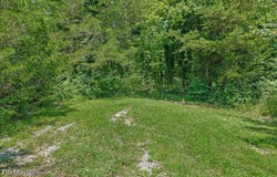 Thacker Lane, Etowah, TN 37331