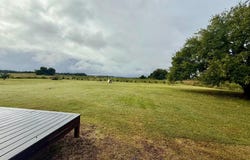 23491 BRUNKHORST Road E, PRESTON, MD 21655