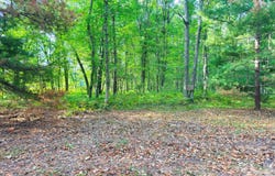 2679 S State, Chase, MI 49623