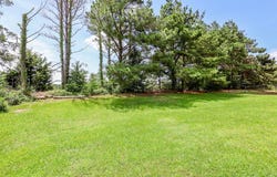 126 Chinkapin Loop, OXFORD, MS 38655