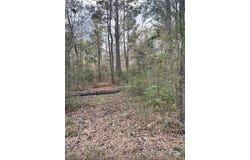 R21929 Youngblood Road, Huntington, TX 75949
