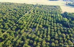 Tx-16 Highway, De Leon, TX 76444