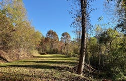 Zoellner Lane, Dillard, GA 30537