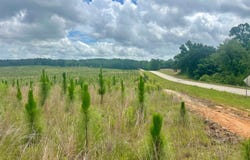 0 Hwy 131, Clayton, AL 36016