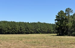 Trojan 45, Cross, SC 29436