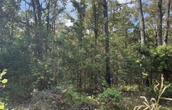 David Cove lot: 132, Byhalia, MS 38611
