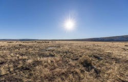 TL 3100 S Harney Lake Rd, Burns, OR 97720