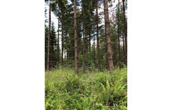 Cater E Rd, Warren, OR 97053