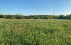 5875 N Currie Lane, Springfield, MO 65803