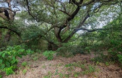 10709 Texas 105, Brenham, TX 77833