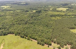 38.110 ac CR 3206, Mount Enterprise, TX 75681