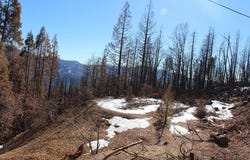 Redwood Drive, Springville, CA 93265