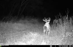 Hickory Blvd, Drakesville, IA 52537