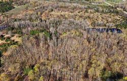 13200 Congdon Road, Wolverine, MI 49799