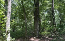 PETERS CORNER Road, SUDLERSVILLE, MD 21668