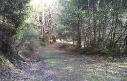 100 Moore Ranch Road, Weitchpec, CA 95546