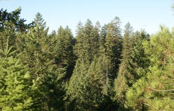 8 Ginger Way, Goldendale, WA 98620