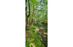 Rolfe Road lot: 44, Harrison, ME 04040